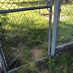 Fence Repair at 125 Tecumseh Rd E