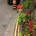 Suggestion for Improvements at 347 Ouellette Ave