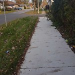 Suggestion for Improvements at 682 Vanier St