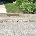 Curb Repair at 1569 Moy Ave