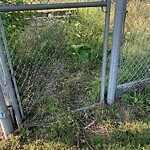 Fence Repair at 125 Tecumseh Rd E