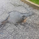 Pothole on Road at 4401 Mount Royal Dr