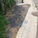 Sidewalk Repair at 8630 Darlington Cres