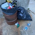 Garbage Bin Emptying at 2550 Mark Ave