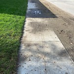 Sidewalk Repair at 3500 Ontario St
