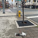 Sidewalk Repair at 409 Ouellette Ave
