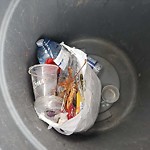 Garbage Bin Emptying at 10072 Aspen Lane