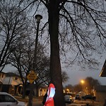 Streetlight Issue at 8303 Gregory Pl
