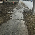 Sidewalk Repair at 1222 Campbell Ave