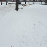 Snow at Transit Bus Stops at 3251 Riverside Dr E