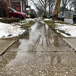 Sidewalk Repair at 839 Windermere Rd