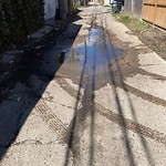 Alley Repair at 537 Kildare Rd
