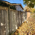 Fence Repair at 1435 Bayswater Cres