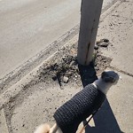 Curb Repair at 254 St Rose Ave