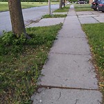 Sidewalk Repair at 1627 Southdale Dr