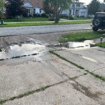 Sidewalk Repair at 2563 Rossini Blvd