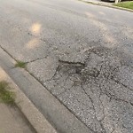 Pothole on Road at 710 Eugenie St E