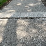 Sidewalk Repair at 11927 Dillon Dr