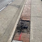 Sidewalk Repair at 628 Monmouth Rd