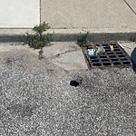 Pothole on Road at 454 Curry Ave