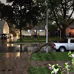 Storm-Related Tree Concern at 1557 Ellrose Ave