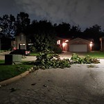 Storm-Related Tree Concern at 3141 Northway Ave