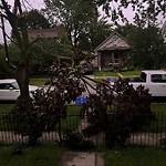 Storm-Related Tree Concern at 836 St Rose Ave