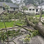 Storm-Related Tree Concern at 3539 King St