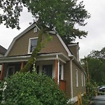 Storm-Related Tree Concern at 1923 University Ave W