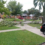 Storm-Related Tree Concern at 1172 Esdras Ave