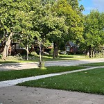 Other Parks Maintenance at 236 Thompson Blvd