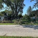 Storm-Related Tree Concern at 3292 Virginia Park Ave