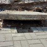 Sidewalk Repair at 1536 Dufferin Pl