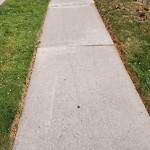 Sidewalk Repair at 2467 Kildare Rd