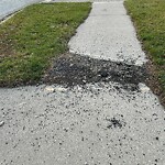Sidewalk Repair at 915 Cora Greenwood Dr