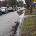 Sewer Issues / Road Flooding at 1711 Iroquois St