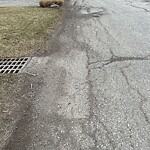 Other Road Maintenance at 594 Jarvis Ave