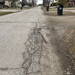 Pothole on Road at 591 Jarvis Ave