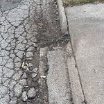 Curb Repair at 3231 Mark Ave