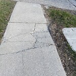 Sidewalk Repair at 1216 South Pacific Ave