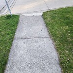 Sidewalk Repair at 2285 Mckay Ave