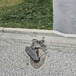 Pothole on Road at 4395 Centre Lake Dr