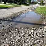 Sewer Issues / Road Flooding at 940 Jarvis Ave