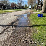 Sewer Issues / Road Flooding at 598 Jarvis Ave