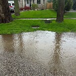 Sewer Issues / Road Flooding at 564 Jarvis Ave