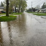 Sewer Issues / Road Flooding at 570 Jarvis Ave