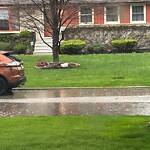Sewer Issues / Road Flooding at 1272 Virginia Ave