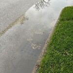 Sewer Issues / Road Flooding at 1588 Villa Maria Blvd N