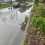 Sewer Issues / Road Flooding at 1761 Iroquois St