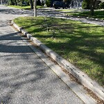 Other Parks Maintenance at 219 Thompson Blvd